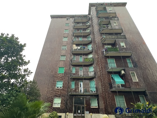 immagine annuncio 0 di 15