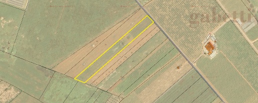 Foto Terreno agricolo in Via Mollone snc, Galatina di 10000 m² in vendita