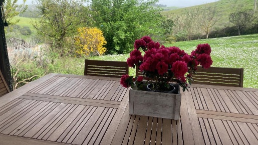 Foto Casale a Collesalvetti Nugola di 270 m² con 7 locali in vendita