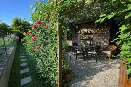 immagine annuncio 9 di 14