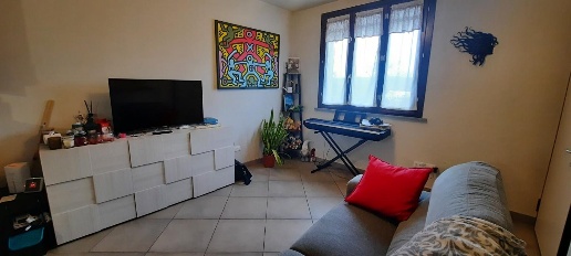 immagine annuncio 4 di 14