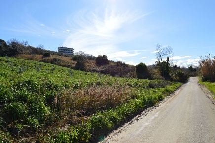 Foto Terreno agricolo in LOCALITA' FONTE GRUGNALE, Vasto di 4130 m²