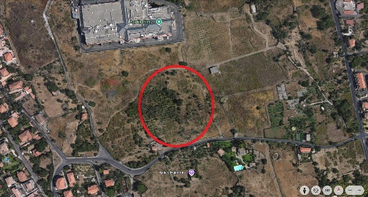 Foto Terreno agricolo in via Nociazze, Tremestieri Etneo Centro di 11383 m²