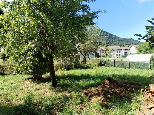 immagine annuncio 3 di 14