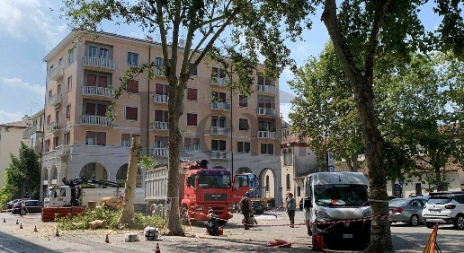 immagine annuncio 6 di 7