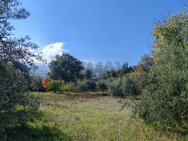 Foto Terreno agricolo in Strada Regionale Maraneve-Contrada Borriglione,