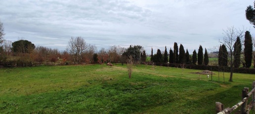 Foto Terreno residenziale in Via Scacciapolli, Fauglia di 1000 m²