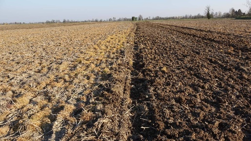 Foto Terreno agricolo in VIA DEL MAGLIO, Truccazzano di 45840 m² in vendita