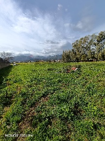 Foto Terreno agricolo a Capoterra di 7000 m² in vendita