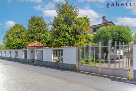 immagine annuncio 3 di 12