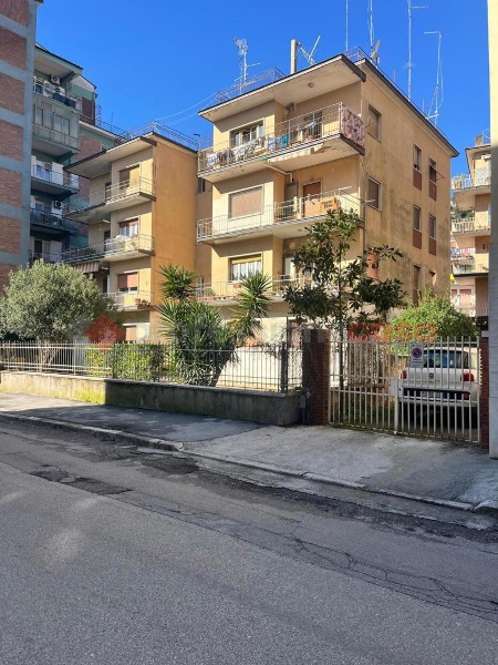 immagine annuncio 2 di 4