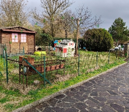 immagine annuncio 11 di 12