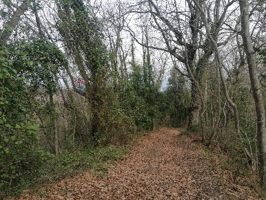Foto Terreno agricolo in Cavallo Morto, Filetto di 7210 m² in vendita