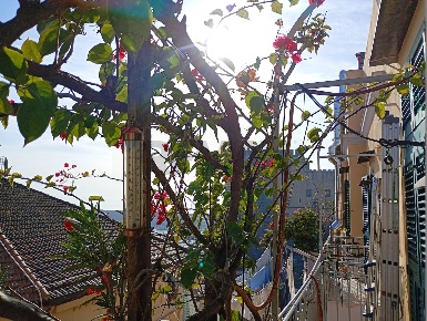 Foto Appartamento in Via Agostino Depretis, Napoli Porto - Municipio
