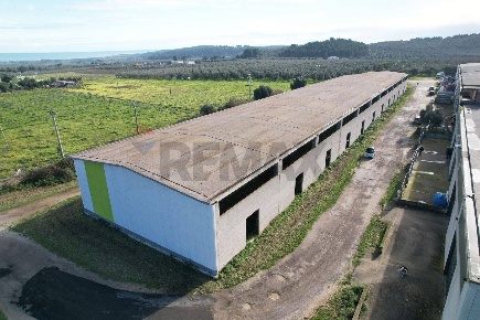 Foto Locale commerciale in Località Mandrione snc, Vieste di 1188 m²