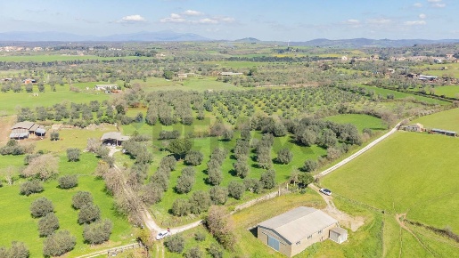 Foto Terreno agricolo in Località Pantano snc, Ischia di Castro di 15910 m²