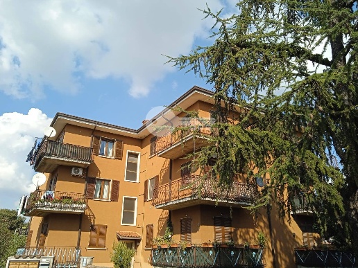 immagine annuncio 1 di 2