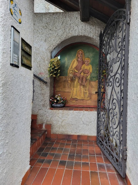 immagine annuncio 3 di 14