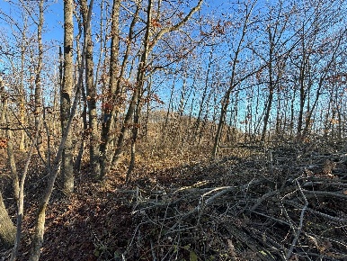 Foto Terreno agricolo a Montezemolo Tetti di 1461 m² in vendita