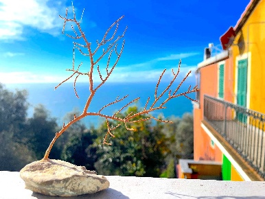 Foto Appartamento in Localita' Setta 46, Framura Anzo Setta di 45 m²