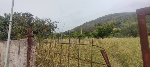 Foto Terreno residenziale in Astolella 2, Santa Maria a Vico di 1342 m²