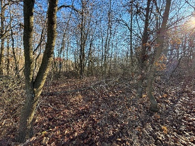 Foto Terreno agricolo a Montezemolo Tetti di 4008 m² in vendita