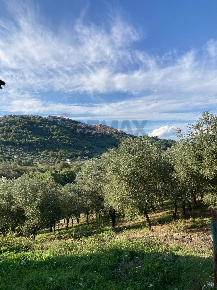 Foto Rustico in Contrada  Giuprino, Felitto di 75 m² con 2 locali