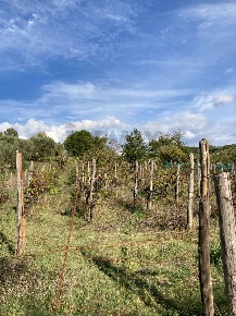 Foto Rustico in Contrada  Giuprino, Felitto di 75 m² con 2 locali