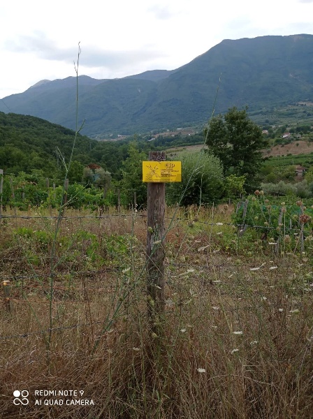 immagine annuncio 13 di 15