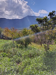 Foto Rustico in Contrada  Giuprino, Felitto di 75 m² con 2 locali