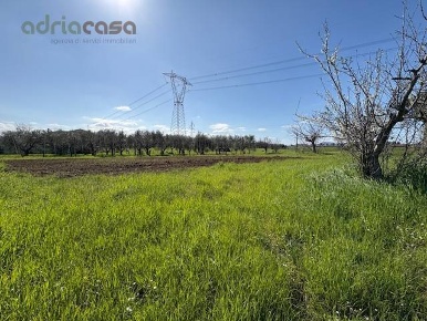 Foto Terreno agricolo in Via Tavoleto, Misano Adriatico Santa Monica Cella