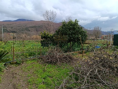 Foto Terreno agricolo a Montoro di 1120 m² in vendita