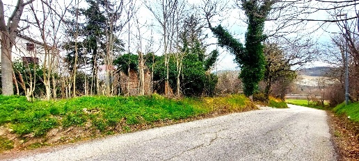 immagine annuncio 3 di 6