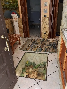 Foto Casa indipendente in Via Senia 40, Scicli Centro di 120 m² in vendita