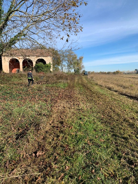 immagine annuncio 5 di 7