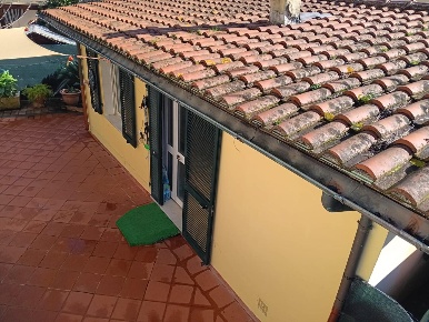 Foto Casa indipendente a Massa Marina di Massa Centro di 50 m² con 3 locali