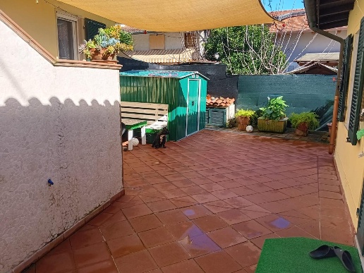 immagine annuncio 2 di 11