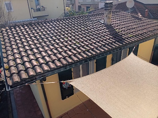 immagine annuncio 3 di 11