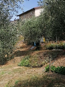 Foto Casa indipendente a Lucca Chiatri - Piazzano di 100 m² con 6 locali