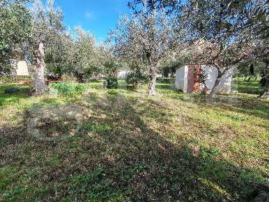 Foto Terreno residenziale in Via Incoronata snc, Vasto di 1100 m²