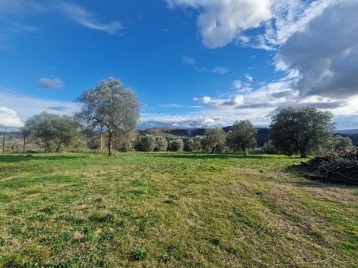 casa indipendente in vendita ad Amelia