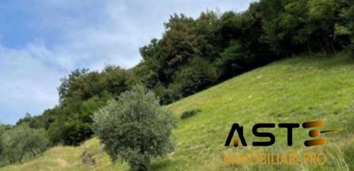 Foto Terreno in Frazione Vallonara nelle vicinanze di Via Marchetti, Centro