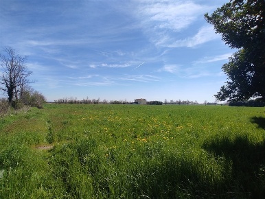 Foto Terreno agricolo in via monte area, Castel Rozzone di 3400 m²