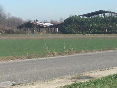 Foto Rustico a Pozzo d'Adda di 10000 m² in vendita