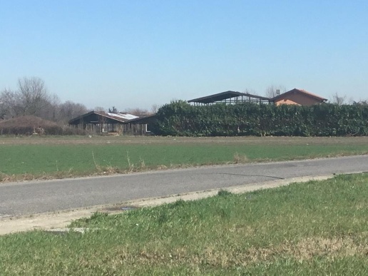 immagine annuncio 2 di 11