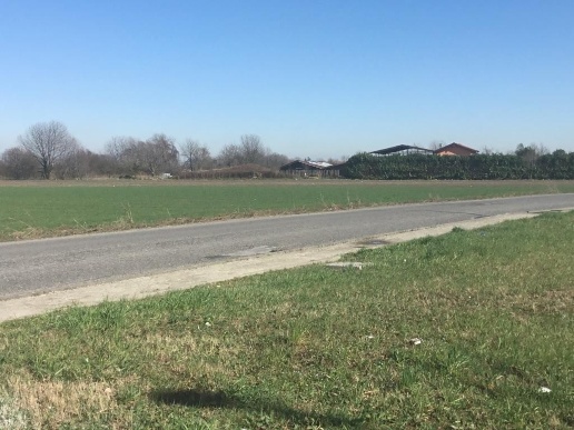 immagine annuncio 3 di 11