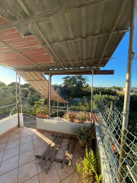 immagine annuncio 3 di 14