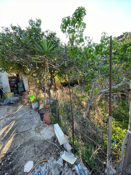 immagine annuncio 5 di 14