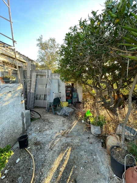 immagine annuncio 6 di 14