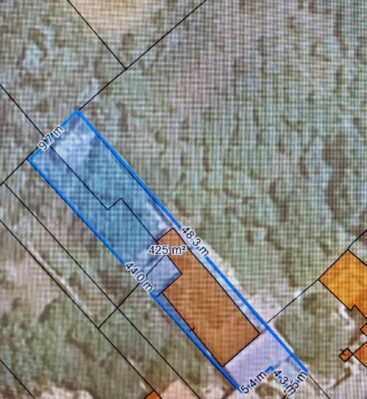 immagine annuncio 12 di 14